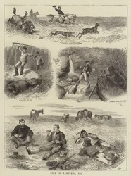 マニトバでの生活III